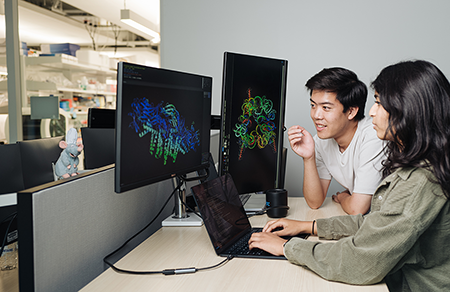 Chemical engineer Brian Hie (L) and Aditi Merchant of Stanford University examine a protein structure generated by Evo 2, an AI tool that can suggest genome designs. As reported in Science, Hie and graduate student Samuel King used AI to design and manufacture viable viruses with DNA sequences, or genomes, not found in nature. (Photo courtesy of Stanford Engineering)